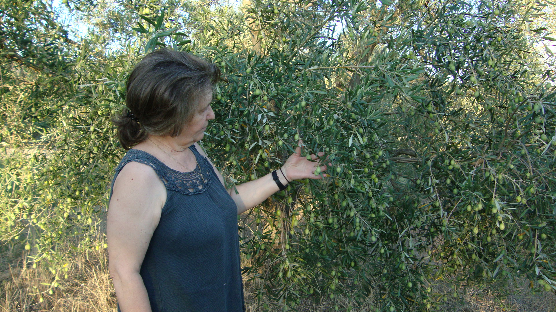 Close to harvest (early October)